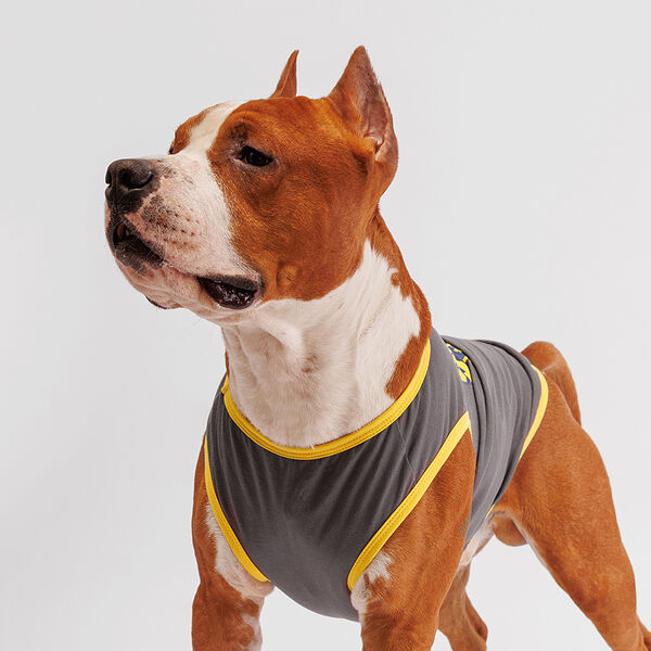 Борцовка Petmax для собак, 3XL, серая