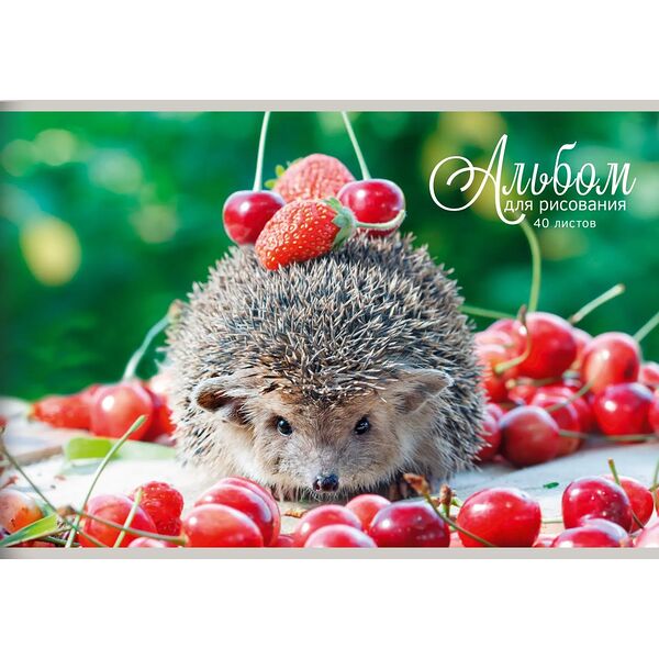 Альбом для рисования Listoff, 40 л