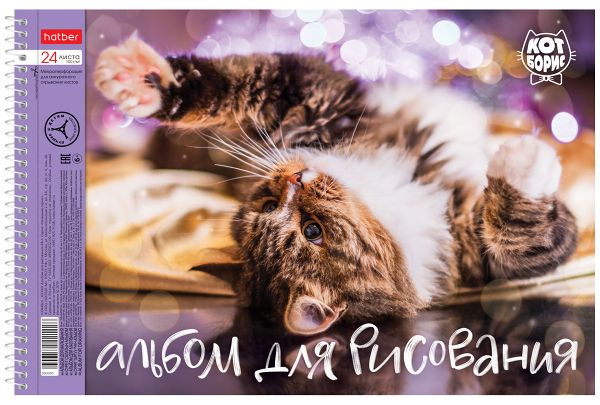 Альбом для рисования Hatber Кот Борис перфорация на отрыв на спирали А4, 24 л, в ассортименте