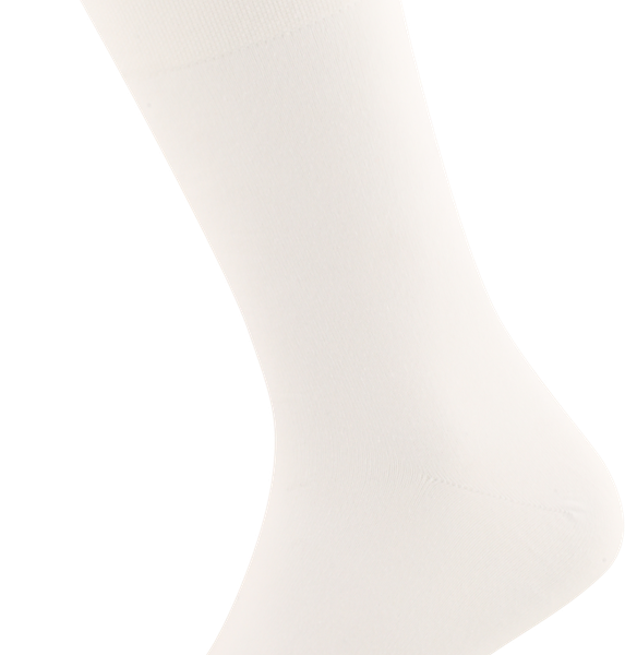 Носки мужские INWIN р. 29 (44–46) белые, Арт. BMS04-06