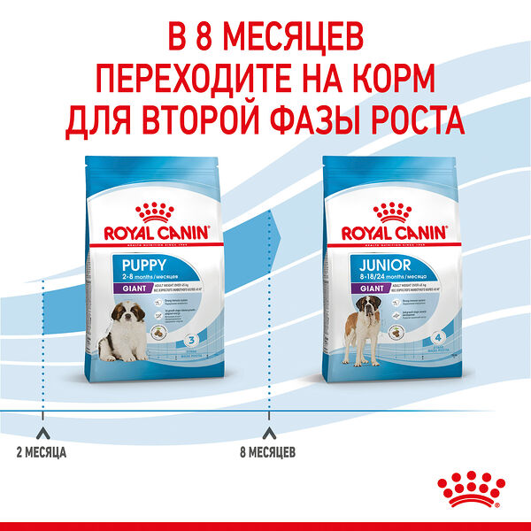 Royal Canin Giant Puppy для щенков до 8 месяцев гигантских пород Курица