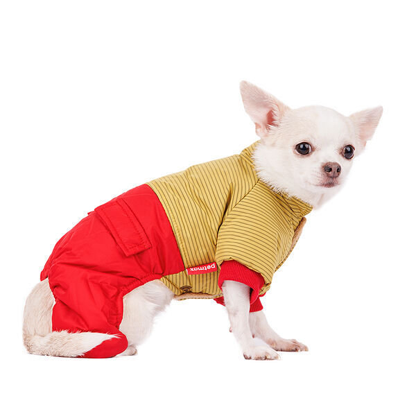 Комбинезон для собак M желтый (унисекс)