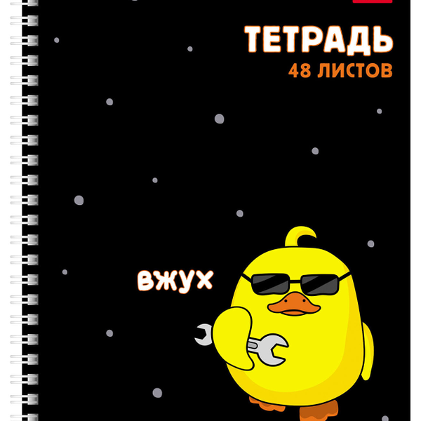 Тетрадь Hatber Мы утята! на гребне в клетку А5,48л,1шт в ассортименте