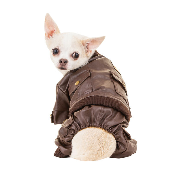 Комбинезон из кожзама для собак S коричневый (унисекс)