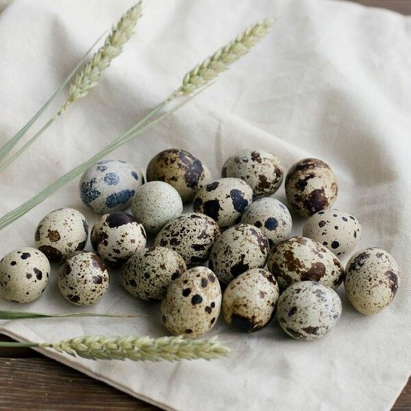 Яйцо перепелиное, 20 шт.