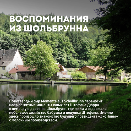 

Сыр полутвёрдый ЭкоНива Momente aus Schollbrunn 50% вес