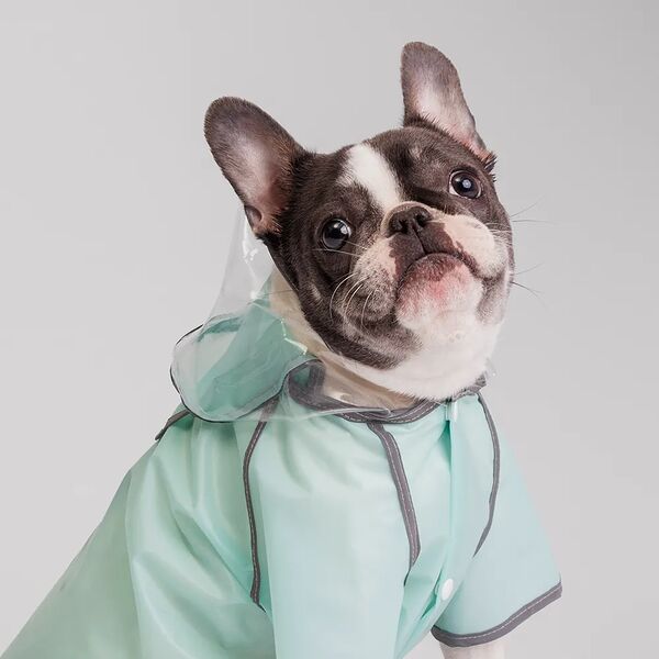 Дождевик с капюшоном для французского бульдога, 4XL, зеленый