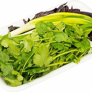 Набор зелени Салатный Базилик кинза лук 100г