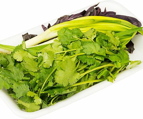 Набор зелени Салатный Базилик кинза лук 100г