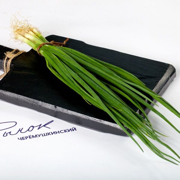 Лук зелёный