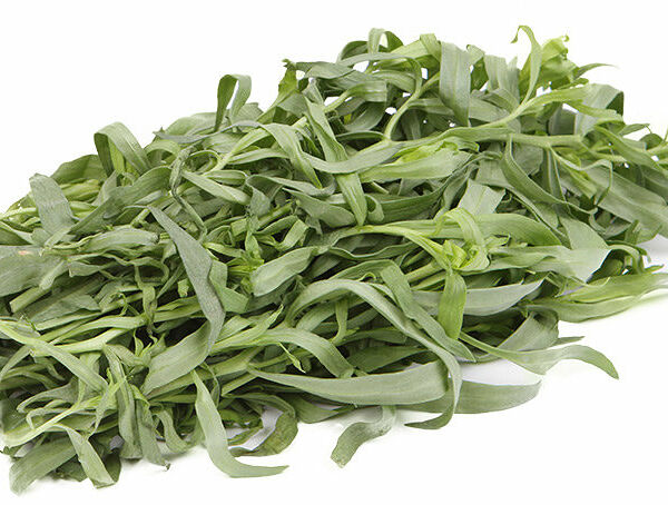 Тархун (Эстрагон) на подложке