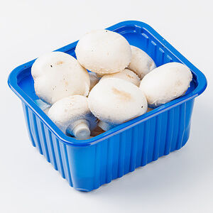 Грибы шампиньоны, 250г