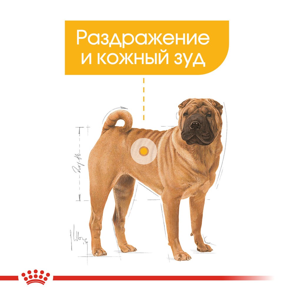 

Royal Canin Medium Dermacomfort корм для собак средних размеров с раздраженной кожей птица 3 кг