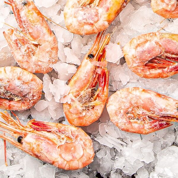 Креветки северные