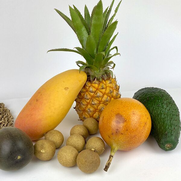 Набор Экзотических фруктов №3
