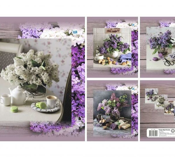 Тетрадь общая клетка 96л серия Сирень №146-23