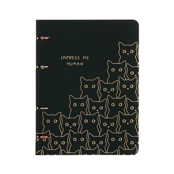 Тетрадь Meshu Amazing cats, А5, 100 листов, на кольцах