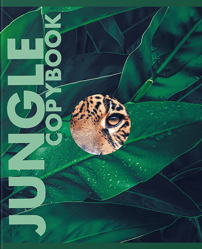 Тетрадь LISTOFF А5, 48 листов, на скрепке, в клетку, Арт. ТК487835, в ассортименте