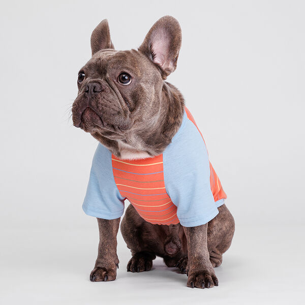 Petmax Футболка оранжевая в полоску L