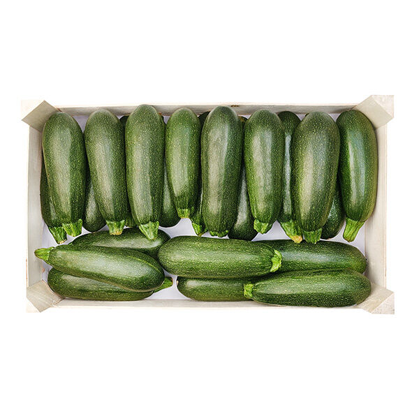 Цукини ОПТ