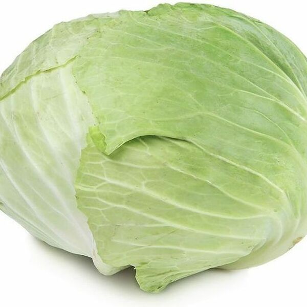 Капуста белокочанная