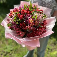 Изображение 2