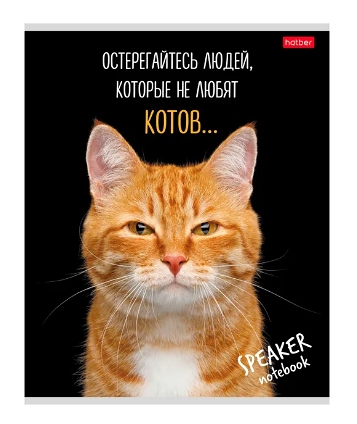 Тетрадь Hatber Кот говорит! на скобе в клетку А5, 40 л в ассортименте