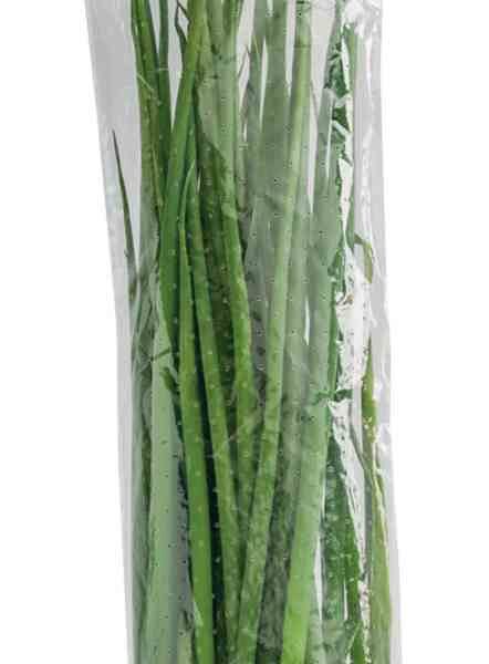 Лук зелёный Глобус 50г