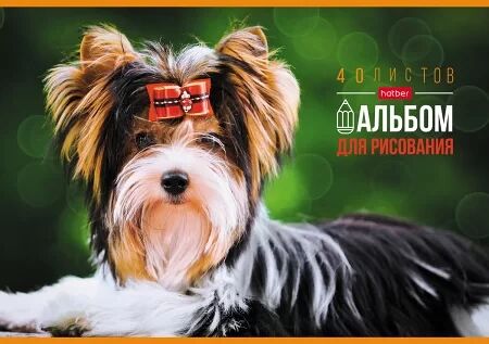 Альбом для рисования Hatber на скобе А4, 16 л в ассортименте