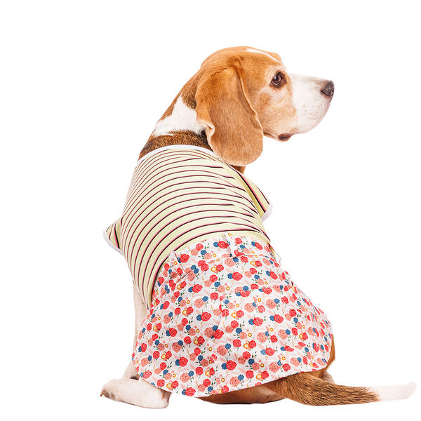 Платье для собак в полоску 2XL желтый (девочка)