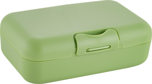 

Ланч-бокс Sugar&Spice Honey 16×10,5×5,5 см 700 мл