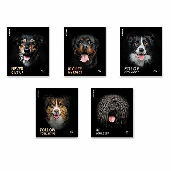 Тетрадь общая ErichKrause Собаки на скобе в клетку А5, 96 л в ассортименте 1 шт