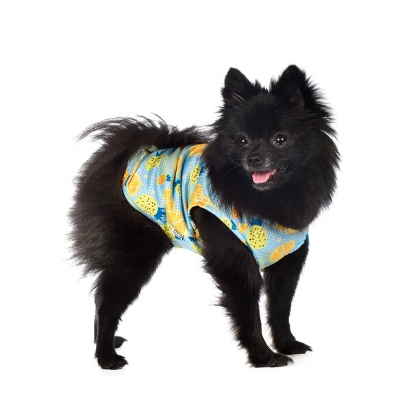 Футболка для собак Rurri с фруктами M голубой (унисекс)