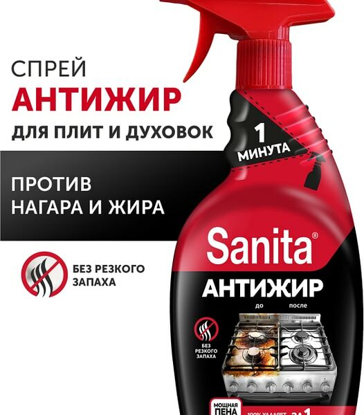 Средство чистящее Sanita 1 минута 500мл