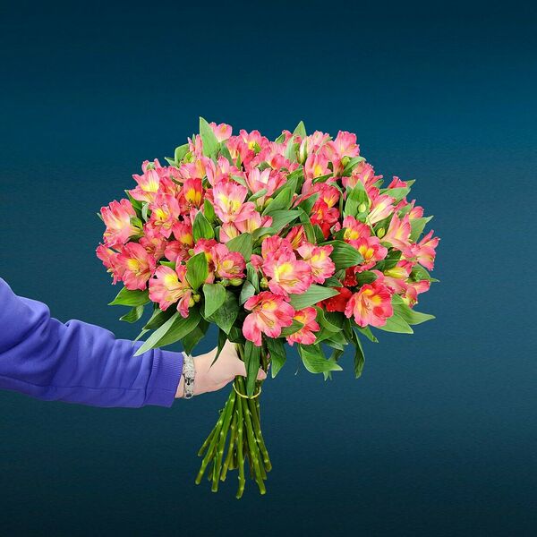 Букет из персиковой альстромерии #15