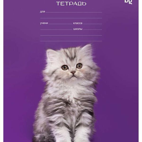 Тетрадь BG Котики клетка А5, 12 л в ассортименте