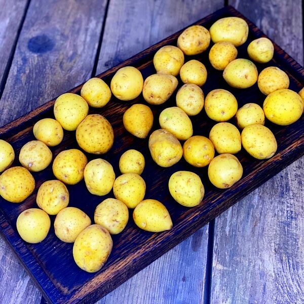 Картофель бейби мытый Россия