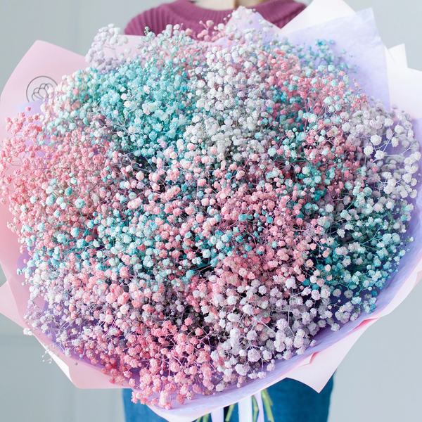 Букет из 25 гипсофил микс в розовой пленке