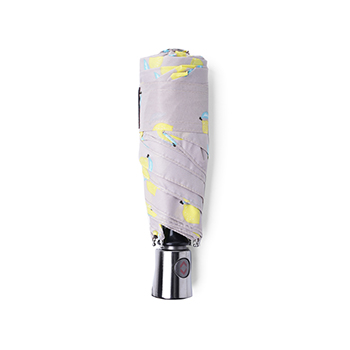 

Зонт ISOTONER Лимоны Citron 4 слож авто, Франция
