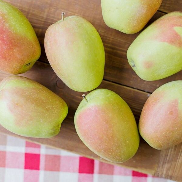 Яблоки Синап