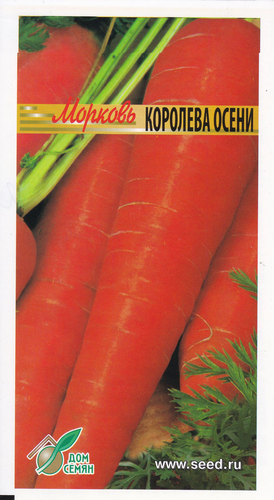 

Семена Дом Семян Морковь Королева осени