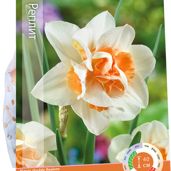Луковицы Нарцисс махровый Реплит 12/14, Арт. 153, 4шт