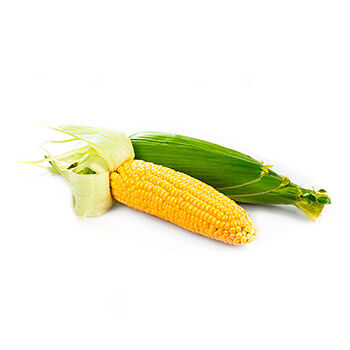 Кукуруза молодая