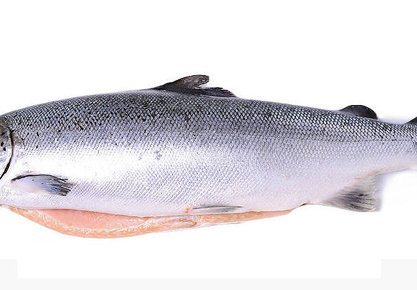 Лосось потрошеный с головой Чили свежемороженый 6/7 Ррк