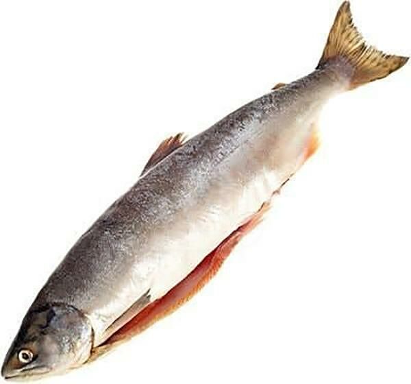 Горбуша свежемороженая вес