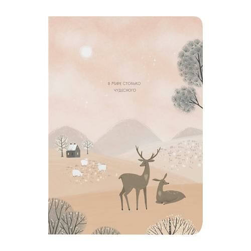 Тетрадь Пакетико Dream Fox А4 переплет клетка 48л в ассортименте