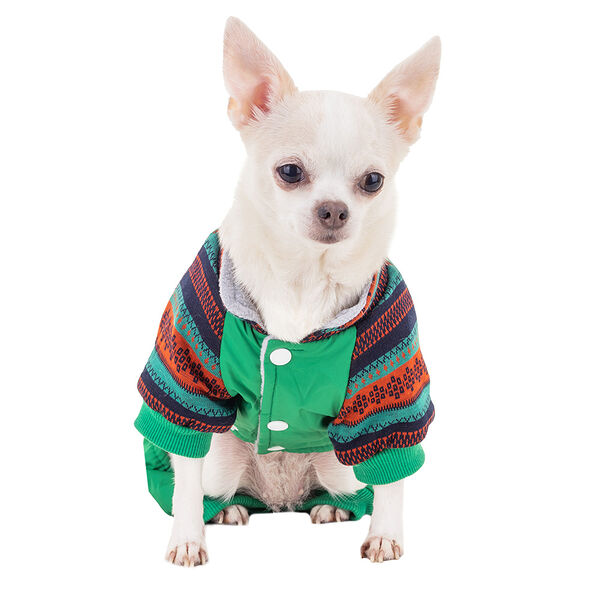 Комбинезон Petmax для собак с узором S зеленый (унисекс)