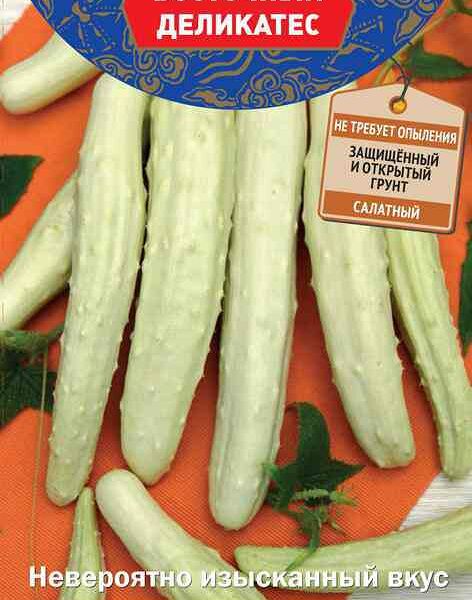 Семена Огурец Поиск Белый дракон F