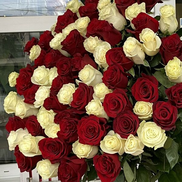 75 метровых роз