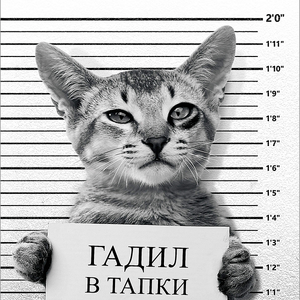 Тетрадь общая на 96 листов в клетку ТМ Hatber (Хатбер)